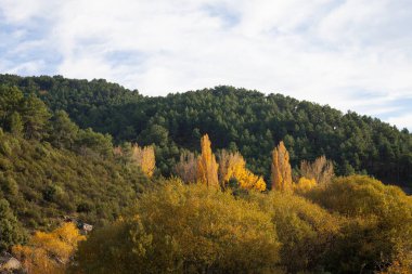 Güzel sonbahar manzarası boyunca bir dağ vadisi.
