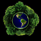 Картина, постер, плакат, фотообои "ecology planet with with trees around. eco earth", артикул 61614255