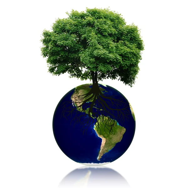 Ağaç ve kökleri üzerine küçük Eko gezegen. Yeşil dünya kavramı.