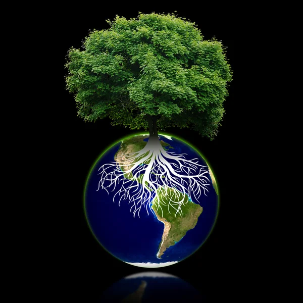 Kleiner Öko-Planet mit Baum und Wurzeln darauf. Konzept der grünen Erde. — Stockfoto