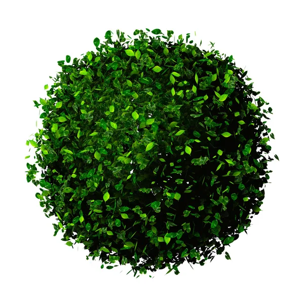 Planet earth made of leaves. Eco globe. Ball of green leaves isolated on white. — Stock Photo, Image