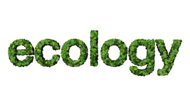 Beyaz arka planda yeşil yapraklardan yapılan kelime ekolojisi.