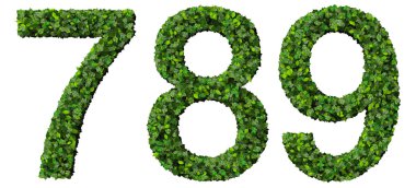 7 8 9 basamak, beyaz arka plan üzerinde izole yeşil yaprakları yapılmış numaraları.