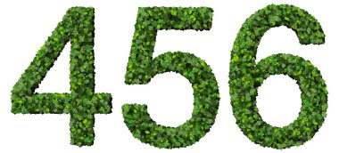 4 5 6 basamak, beyaz arka plan üzerinde izole yeşil yaprakları yapılmış numaraları.
