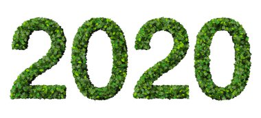 Yıl 2020, yeşil yaprakları beyaz arka plan üzerinde izole yapılan tarihi.