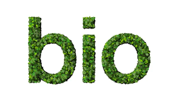 Palavra bio feita a partir de folhas verdes isoladas no fundo branco . — Fotografia de Stock
