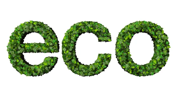 Słowo ekologiczne wykonane z zielonych liści na białym tle. — Zdjęcie stockowe
