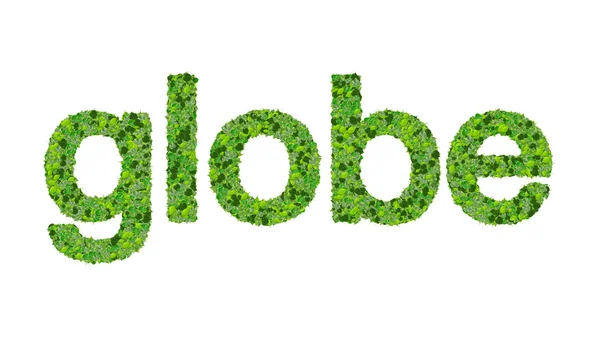 Word globe made from green leaves isolated on white background. — Stock Photo, Image