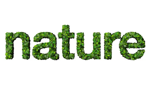 Word nature made from green leaves isolated on white background. — Stock Photo, Image