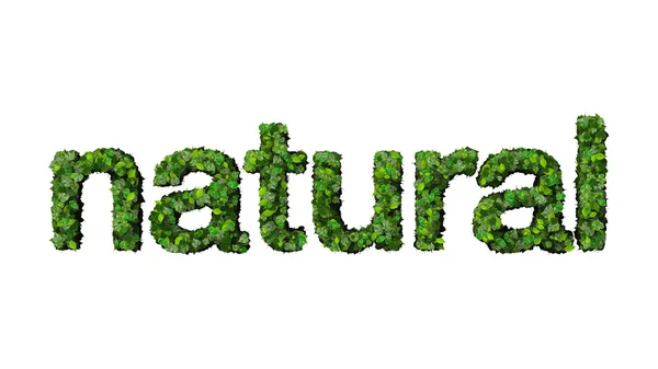 Ordet naturlig gjort gröna bladen isolerad på vit bakgrund. — Stockfoto