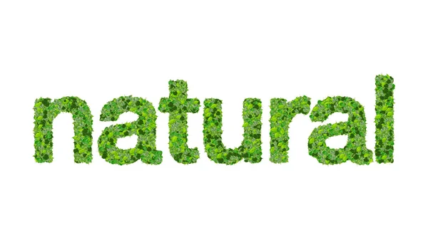 Wort Natur aus grünen Blättern isoliert auf weißem Hintergrund. — Stockfoto