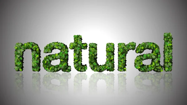 Word doğal yeşil yaprakları beyaz arka plan üzerinde izole yapılmış.