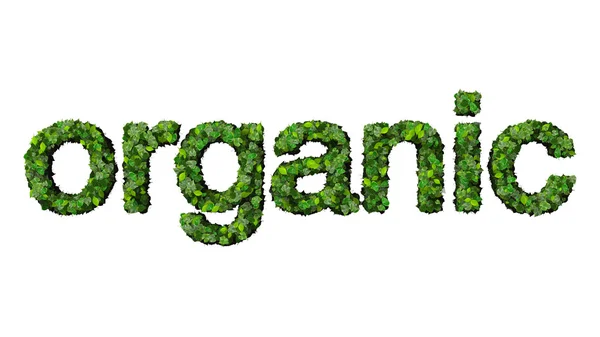 Kelime organik yeşil yaprakları beyaz arka plan üzerinde izole yapılmış.