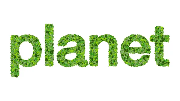 Word planet made from green leaves isolated on white background. — Stock Photo, Image