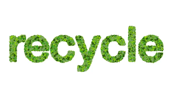 Reciclagem de palavras feita a partir de folhas verdes isoladas no fundo branco . — Fotografia de Stock