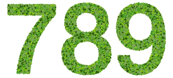 7 8 9 basamak, beyaz arka plan üzerinde izole yeşil yaprakları yapılmış numaraları.