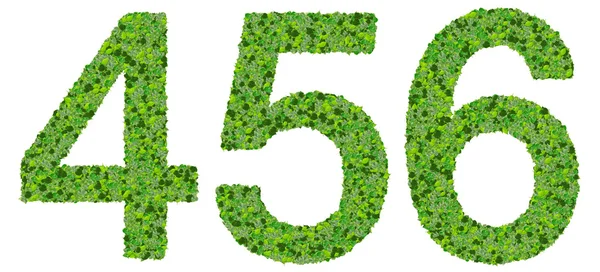 4 5 6 dígitos, números hechos de hojas verdes aisladas sobre fondo blanco . — Foto de Stock