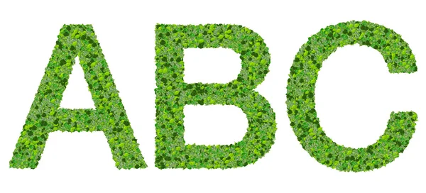 A B C alphabet letters made from green leaves isolated on white background. — Stock Photo, Image