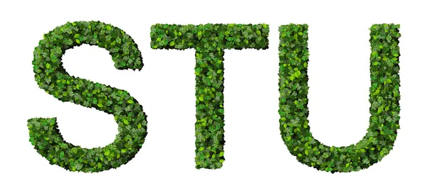 S T U alfabeto letras feitas de folhas verdes isoladas sobre fundo branco . — Fotografia de Stock