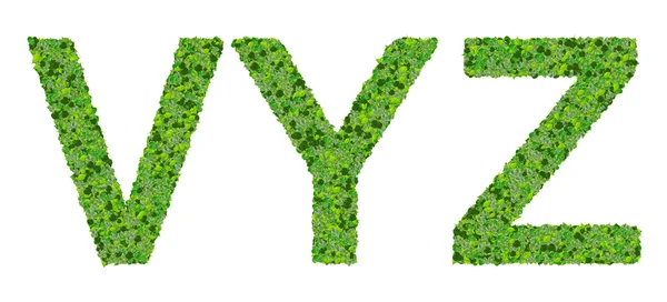 Beyaz arka plan üzerinde izole yeşil yaprakları yapılmış V Y Z alfabe harfleri. — Stok fotoğraf