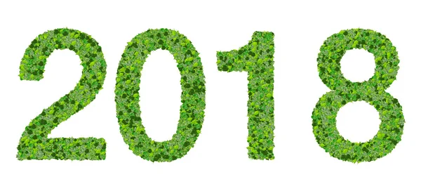 Rok 2018, datum z zelených listů izolovaných na bílém pozadí. — Stock fotografie