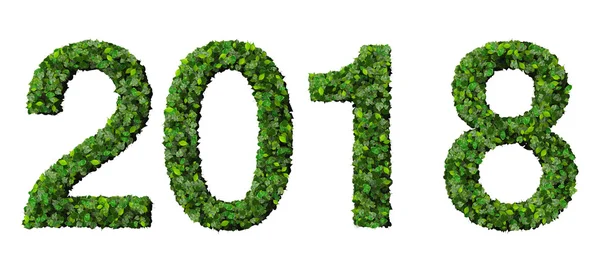Jaar 2018, datum gemaakt van groene bladeren geïsoleerd op witte achtergrond. — Stockfoto