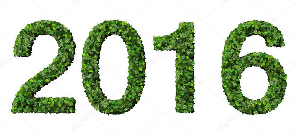 Year 2016, date made from green leaves isolated on white background.
