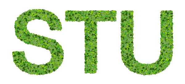Letras del alfabeto S T U hechas de hojas verdes aisladas sobre fondo blanco . — Foto de Stock