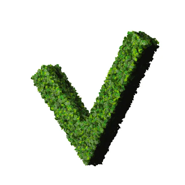 Aprovado, ok, tipo, signo ecológico feito de folhas verdes isoladas em fundo preto. Renderização 3D . — Fotografia de Stock
