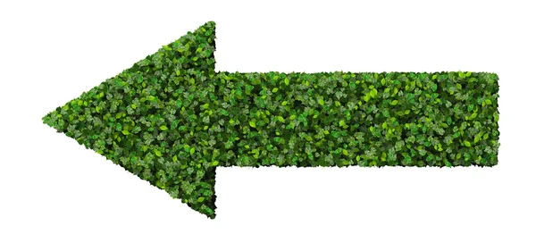 Arrow made from green leaves. — Stock Photo, Image