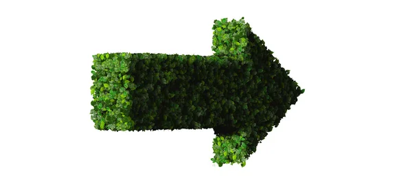 Pijl gemaakt van groene bladeren. — Stockfoto