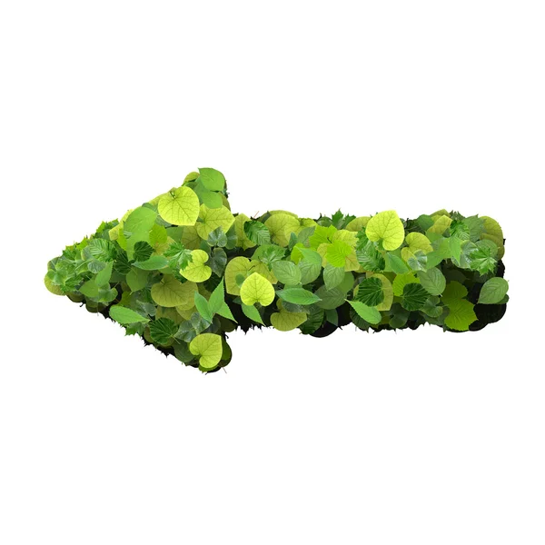Arrow made from green leaves. — Stock Photo, Image