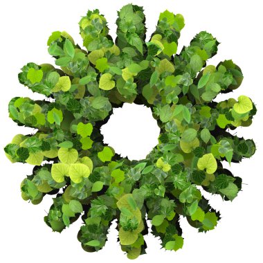 Yıldız ya da yeşil yapraklarından yapılmış güneş.