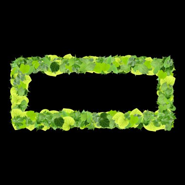 Quadrangle, beyaz arka plan üzerinde izole yeşil yaprakları yapılmış dikdörtgen. 3D render.