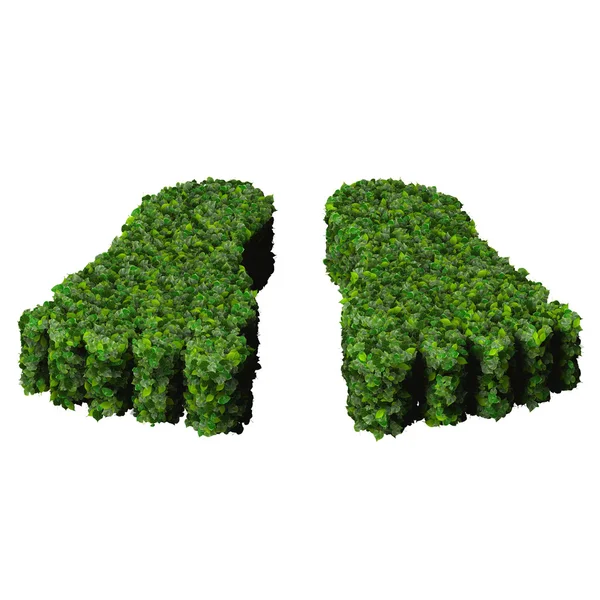 Beyaz arka plan üzerinde izole yeşil yaprakları yapılmış ayaklar. 3D render. — Stok fotoğraf