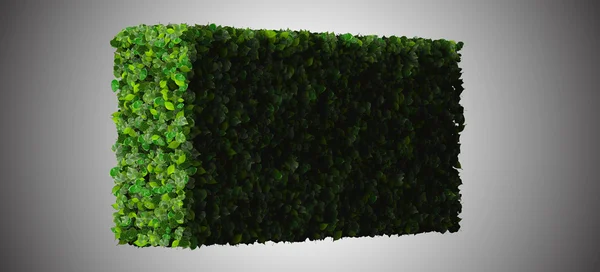 Fyrhörning, rektangel från gröna blad isolerad på vit bakgrund. 3D gör. — Stockfoto