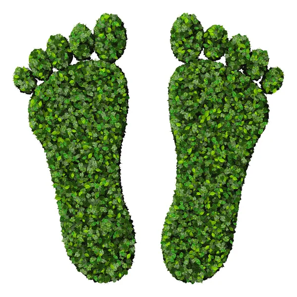 由孤立的白色背景上的绿色树叶制成的双脚。3d 渲染. — 图库照片