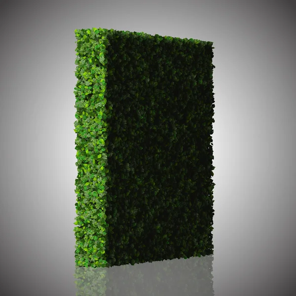 Square, quadrangle made from green leaves isolated on white background. 3D render. — Stock Photo, Image