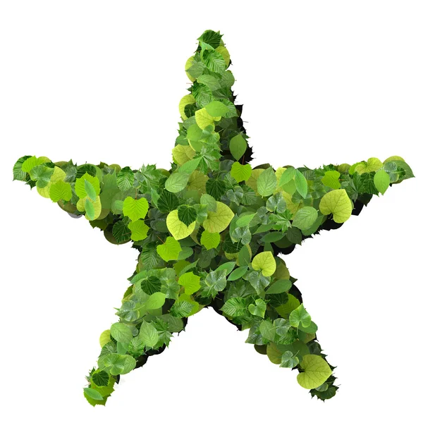 Star or sun made from green leaves. — Stock Photo, Image