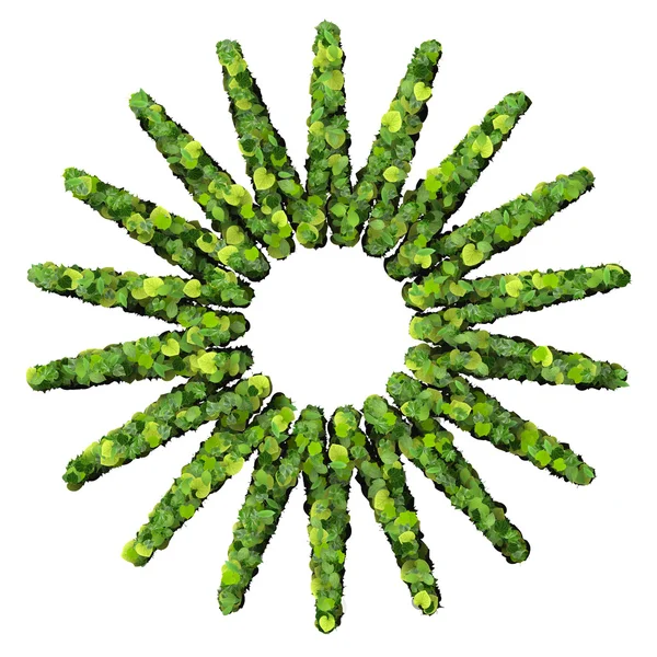 Star or sun made from green leaves. — Stock Photo, Image