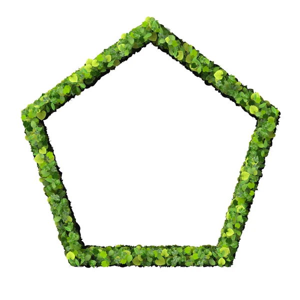 Pentagon made from green leaves isolated on white background. 3D render. — Stock Photo, Image