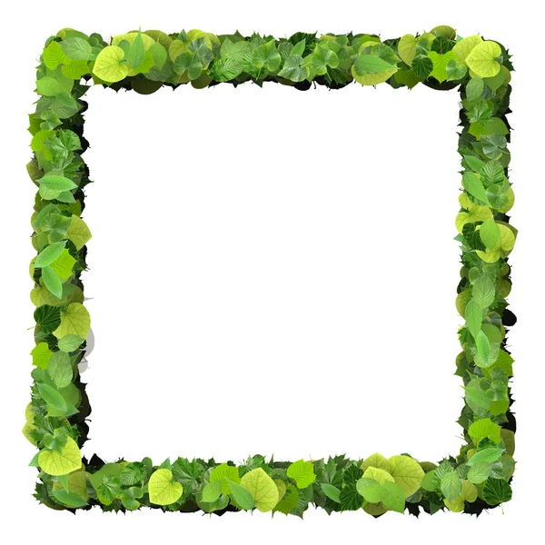 Quadrato, quadrangolo composto da foglie verdi isolate su fondo bianco. Rendering 3D . — Foto Stock
