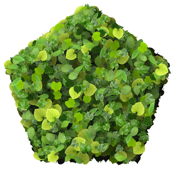 Pentagon made from green leaves isolated on white background. 3D render. — Stock Photo, Image