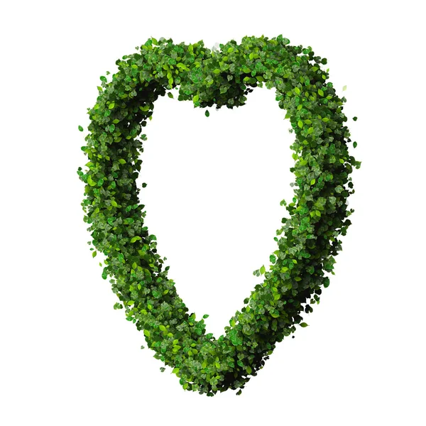 Heart made from green leaves. — Stock Photo, Image