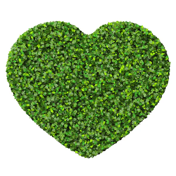Serce z zielonych liści. — Zdjęcie stockowe