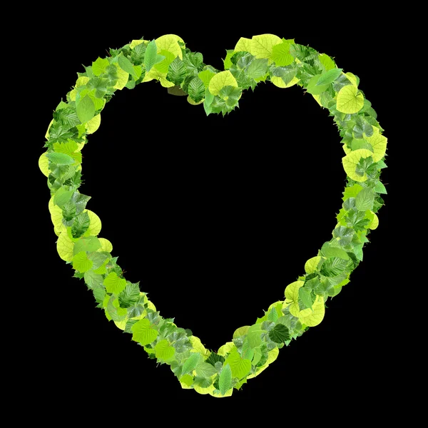 Heart made from green leaves. — Stock Photo, Image