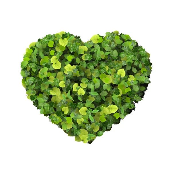 Heart made from green leaves. — Stock Photo, Image