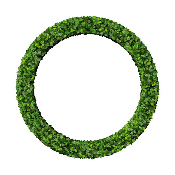 Кольцо из зеленых листьев выделено на белом фоне. 3D рендеринг . — стоковое фото