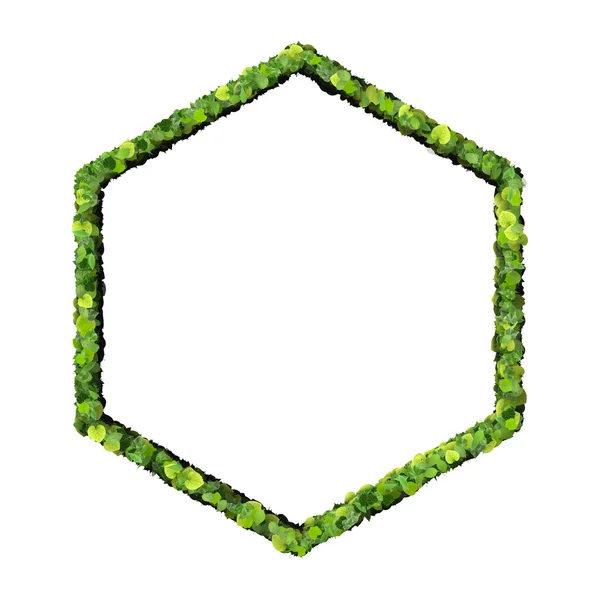 Hexágono feito de folhas verdes isoladas sobre fundo branco. Renderização 3D . Imagem De Stock