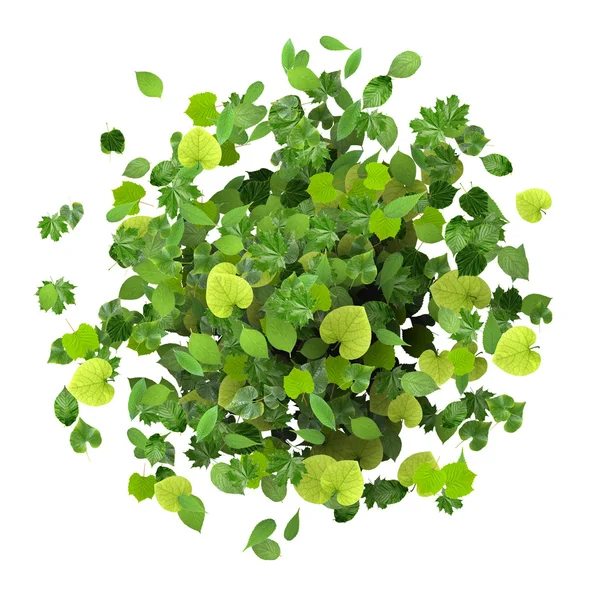 Beyaz arka plan üzerinde izole yeşil yaprakları yapılmış yüzük. 3D render.